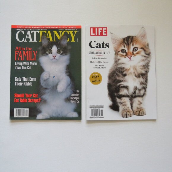 Cat Companions in Life and Catfancy Lot of 2 Cat Magazines - Picture 1 of 7